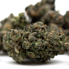 Motorbreath Indoor THCa Flower - Plants