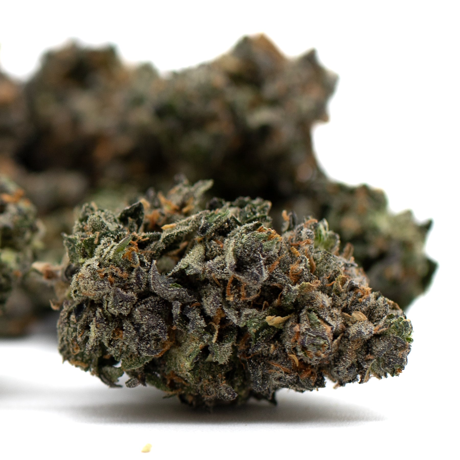 Motorbreath Indoor THCa Flower - Plants