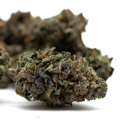 Motorbreath Indoor THCa Flower - Plants