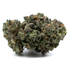 Motorbreath Indoor THCa Flower - Plants