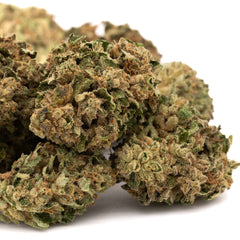 Nascar Full-Term THCa Hemp Flower - Plants