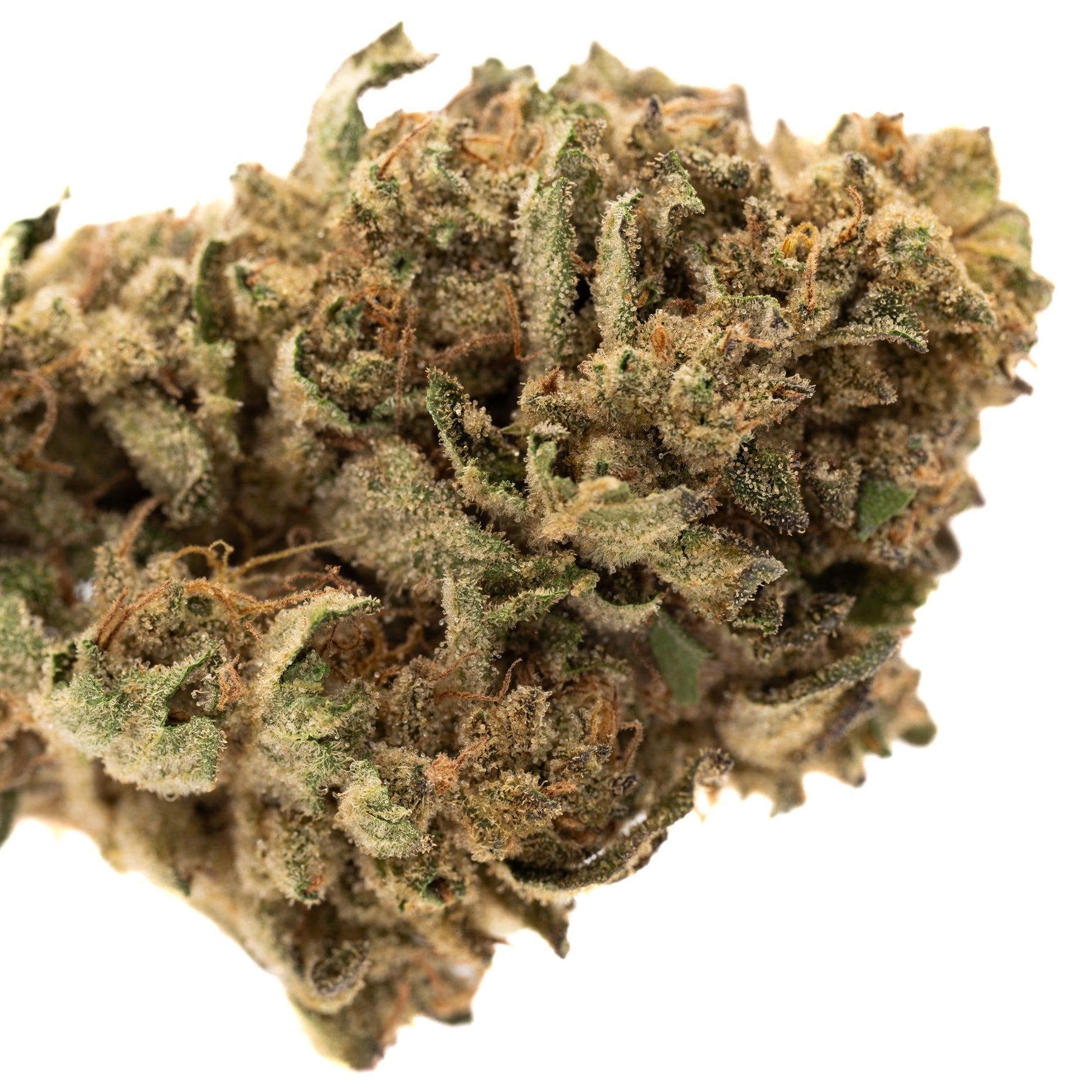Nascar Full-Term THCa Hemp Flower - Plants