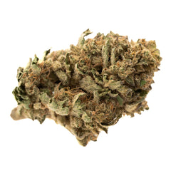 Nascar Full-Term THCa Hemp Flower - Plants