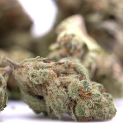 Nectarine Jelly THCa Greenhouse Smalls