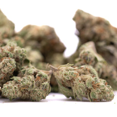 Nectarine Jelly THCa Greenhouse Smalls