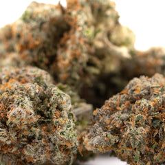 Nectarine Jelly THCa Hemp Flower Greenhouse Wholesale