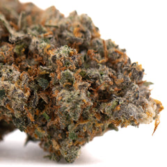 Nectarine Jelly Indoor THCa Flower