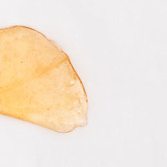 Thin, curved potato chip with water droplets on surface beside OG Kush THCa Dab Wax