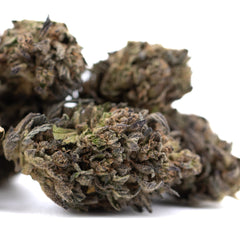 Orange Runtz THCa Hemp Flower Greenhouse