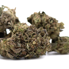 Orange Runtz THCa Hemp Flower Greenhouse Wholesale