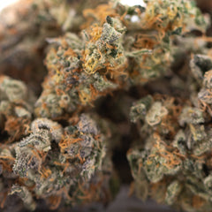 Orange Sumo THCa Flower