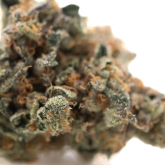 Orange Sumo THCa Flower