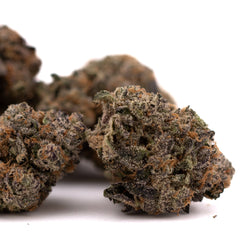 Oregon Lemons THCa Indoor Flower - Plants