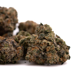 Oregon Lemons THCa Indoor Flower - Plants