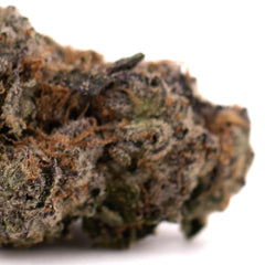 Oregon Lemons THCa Indoor Flower - Plants