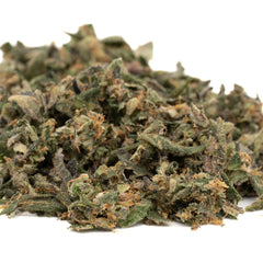 Peach Pie THCa Indoor Trim Wholesale 1LB - 1 LB - Plants