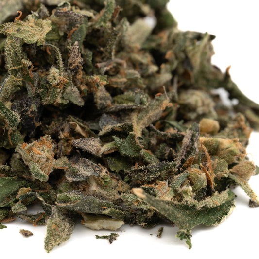 Peach Pie THCa Indoor Trim Wholesale 1LB - 1 LB - Plants