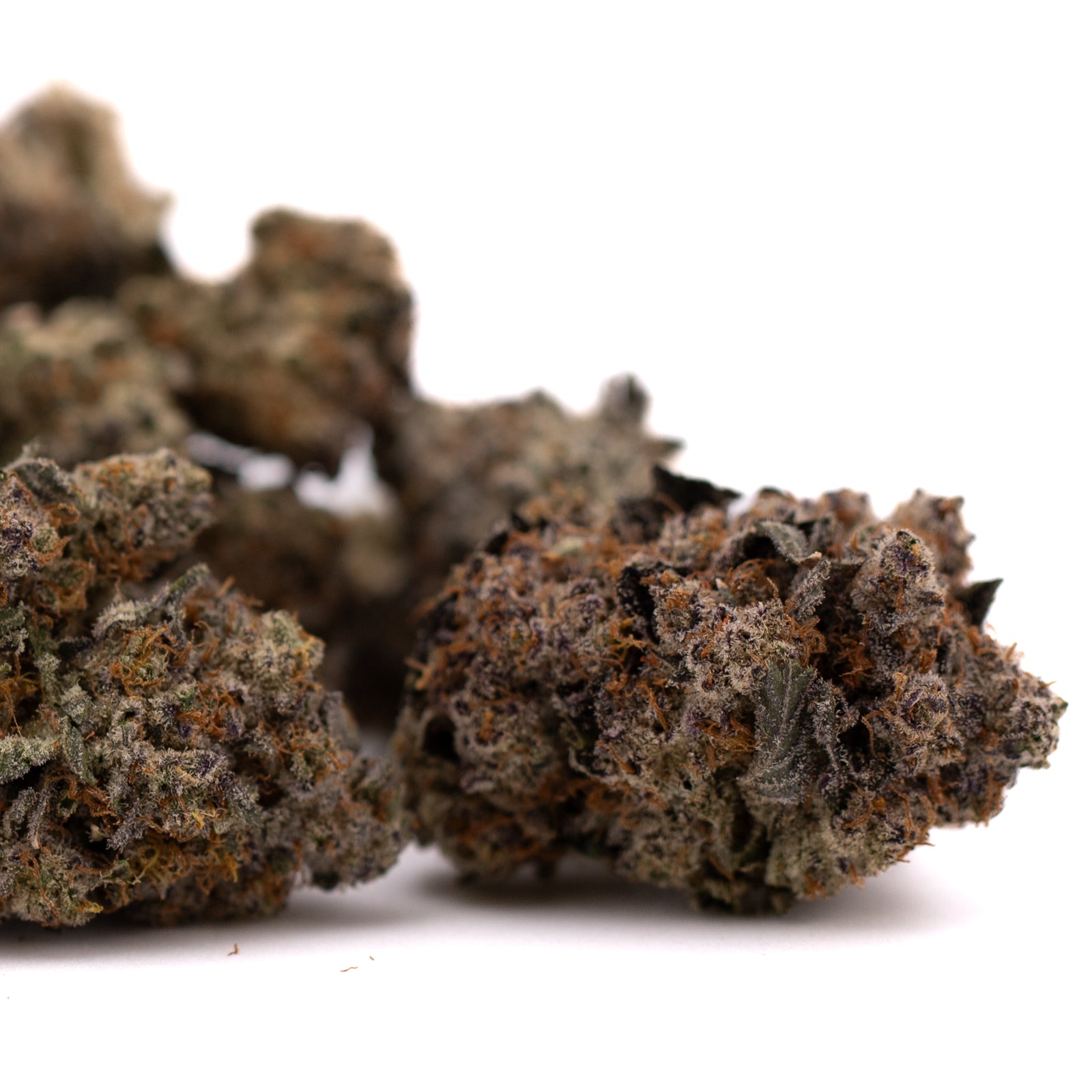 Peach Tree THCa Indoor Flower - Plants
