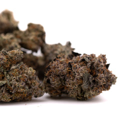Peach Tree THCa Indoor Flower - Plants