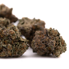 Peach Tree THCa Indoor Flower - Plants