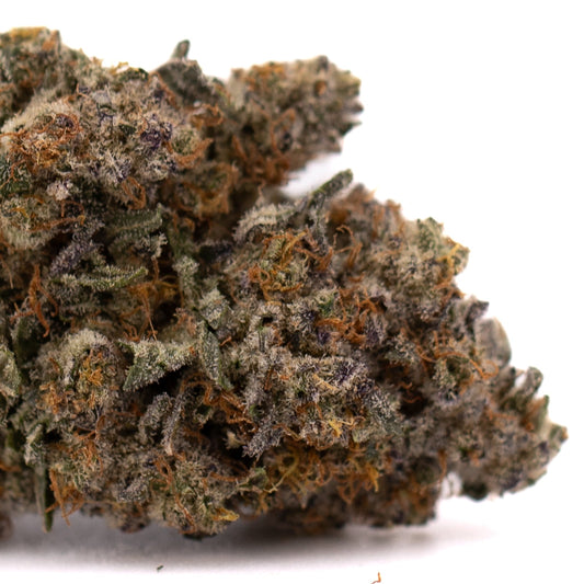 Peach Tree THCa Indoor Flower - Plants