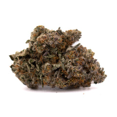 Peach Tree THCa Indoor Flower - Plants