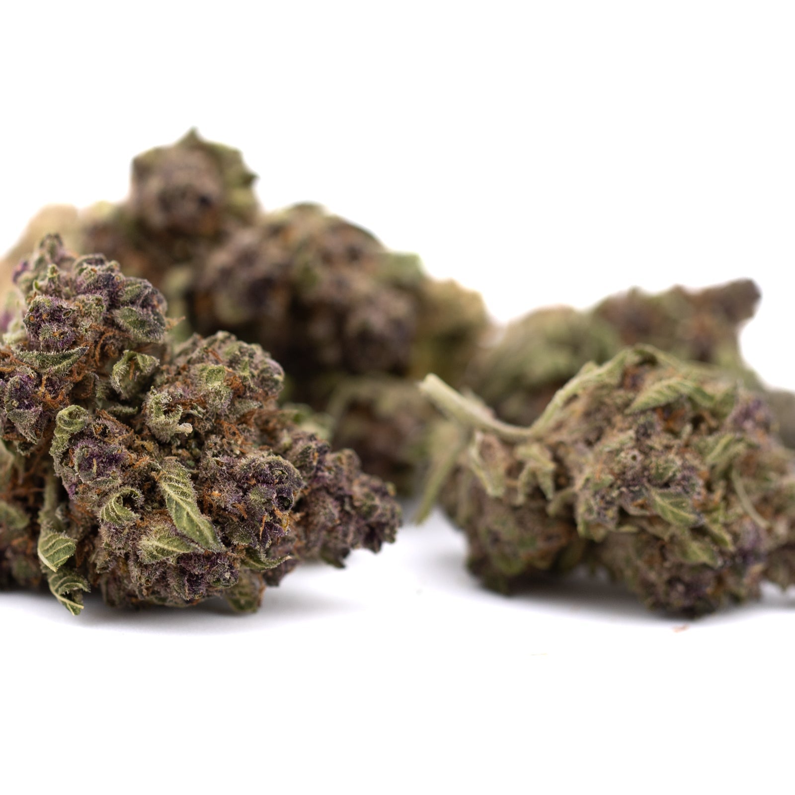 Pineapple Express Indoor THCa Flower Smalls - Plants