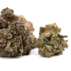 Pineapple Express Indoor THCa Flower Smalls - Plants