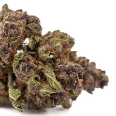 Pineapple Express Indoor THCa Flower Smalls - Plants