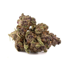 Pineapple Express Indoor THCa Flower Smalls - Plants
