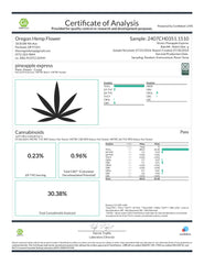 Pineapple Express Indoor THCa Flower Smalls - Plants