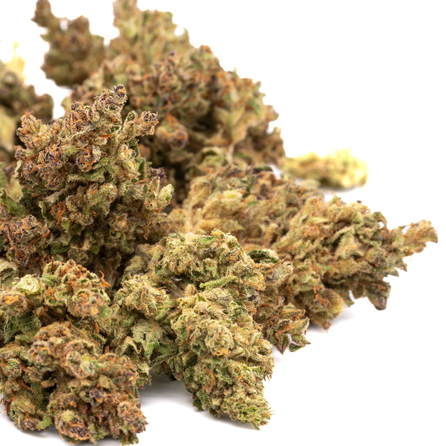 Pineberry CBD Hemp Flower - Plants