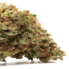 Pivot CBD Hemp Flower Smalls - Plants