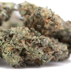 Platinum Huckleberry Cookies Indoor THCa Flower