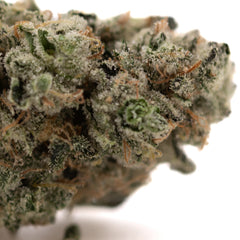 Platinum Huckleberry Cookies Indoor THCa Flower
