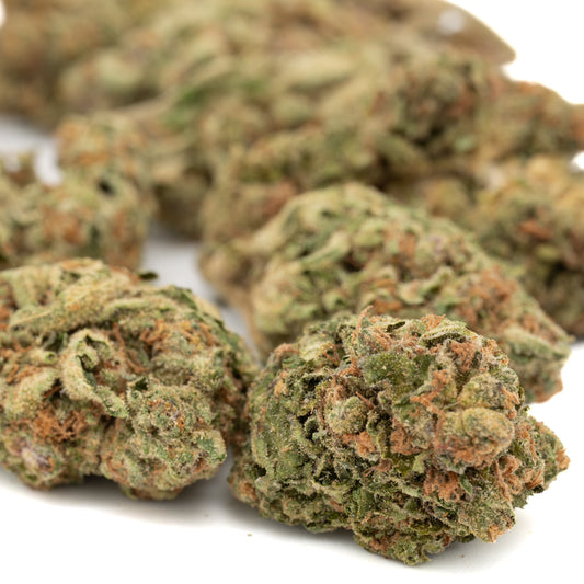 Point Break THCa Hemp Flower Greenhouse - Plants