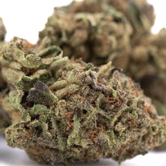 Poison Gushers THCa Hemp Flower Greenhouse