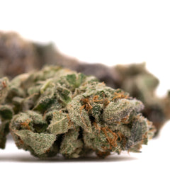 Poppin' Bottlez #2 Indoor THCa Flower Wholesale