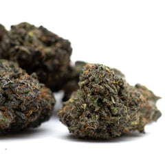 Poppin’ Bottlez Indoor THCa Flower - Plants