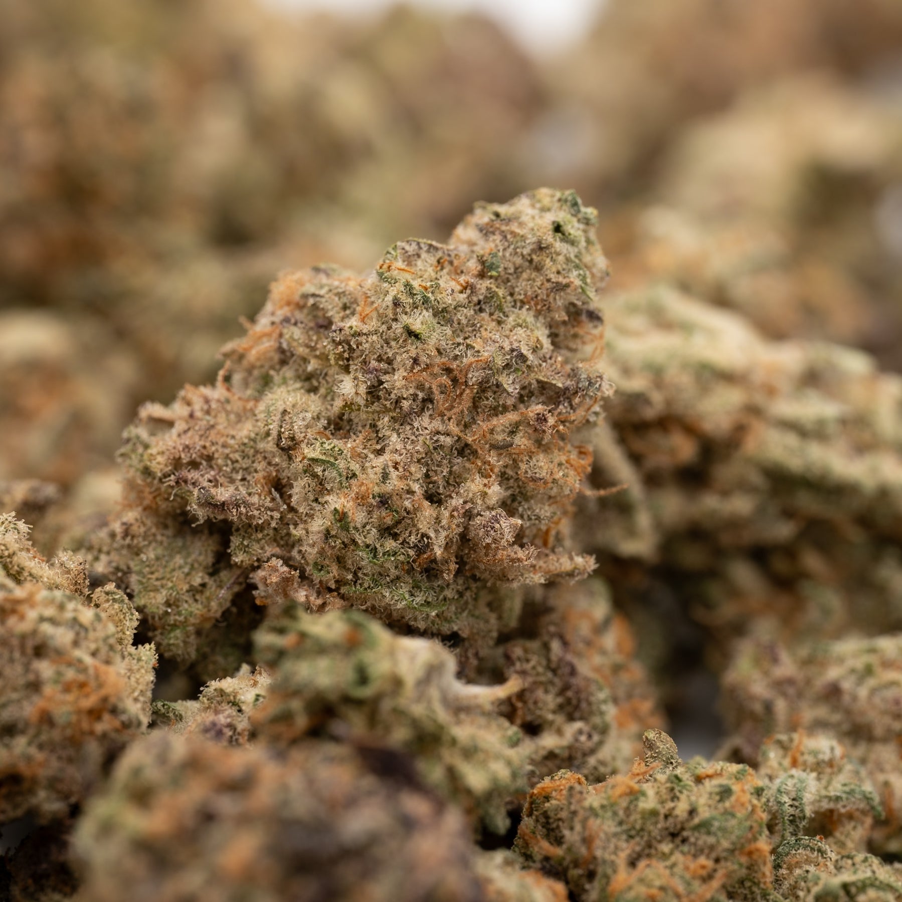 Pressure THCa Indoor Flower Smalls - Plants