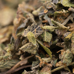 Pressure THCa Indoor Trim Wholesale 1LB - 1 LB - Plants