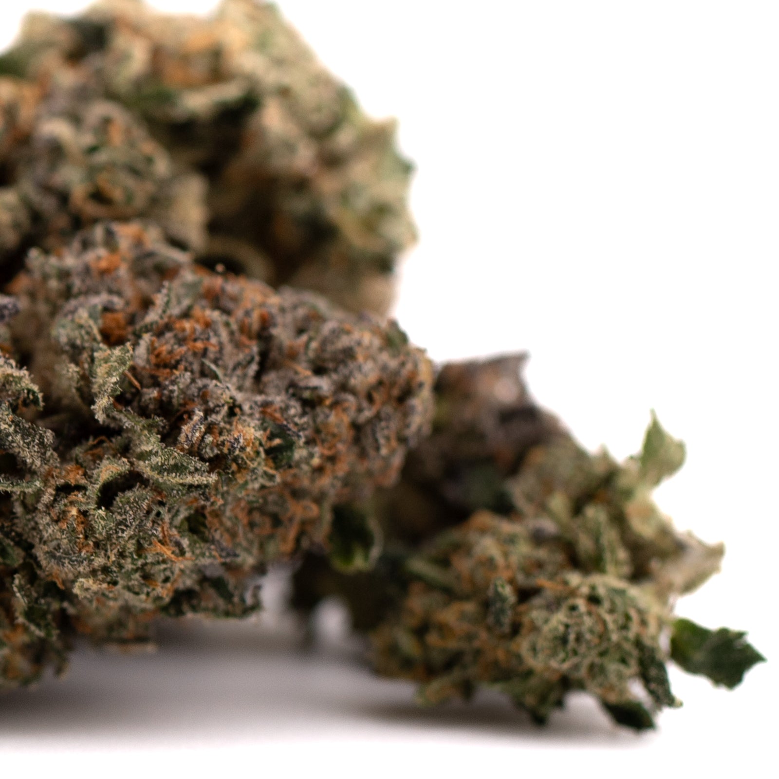 Purple Lemon Cake Indoor THCa Flower Wholesale - Plants
