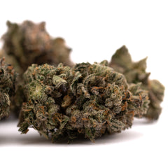 Purple Lemon Cake Indoor THCa Flower Wholesale - Plants