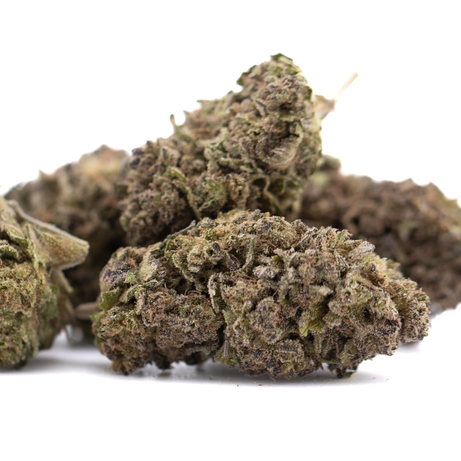 Purple Marmalade THCa Hemp Flower Greenhouse - Plants