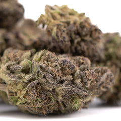 Purple Mountain Majesty THCa Hemp Flower Greenhouse Wholesale