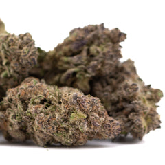 Purple Mountain Majesty THCa Hemp Flower Greenhouse