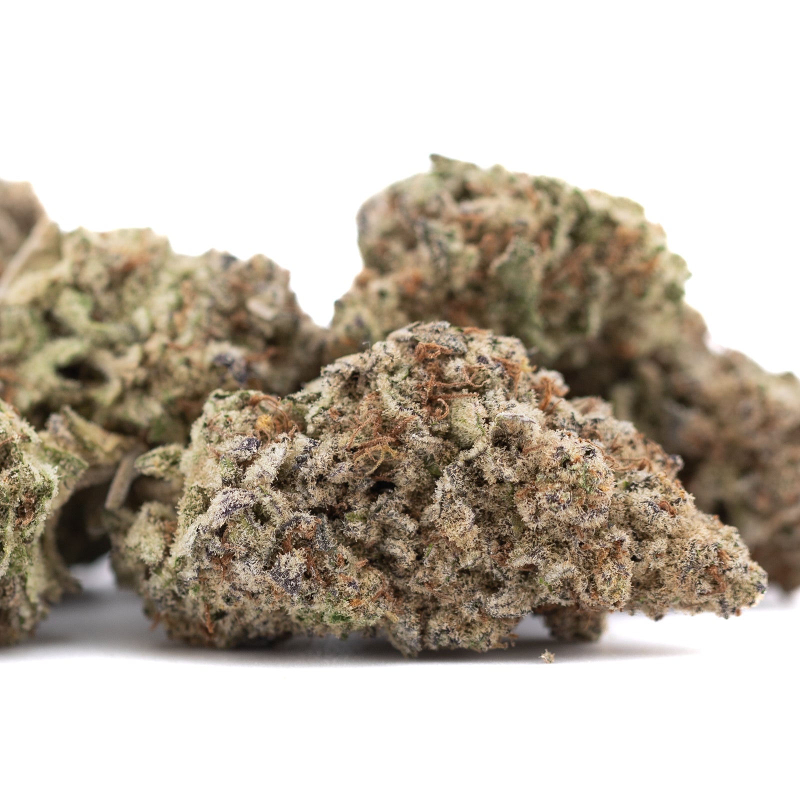 Purple Pop Rocks THCa Hemp Flower Greenhouse - Plants