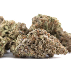 Purple Pop Rocks THCa Hemp Flower Greenhouse - Plants