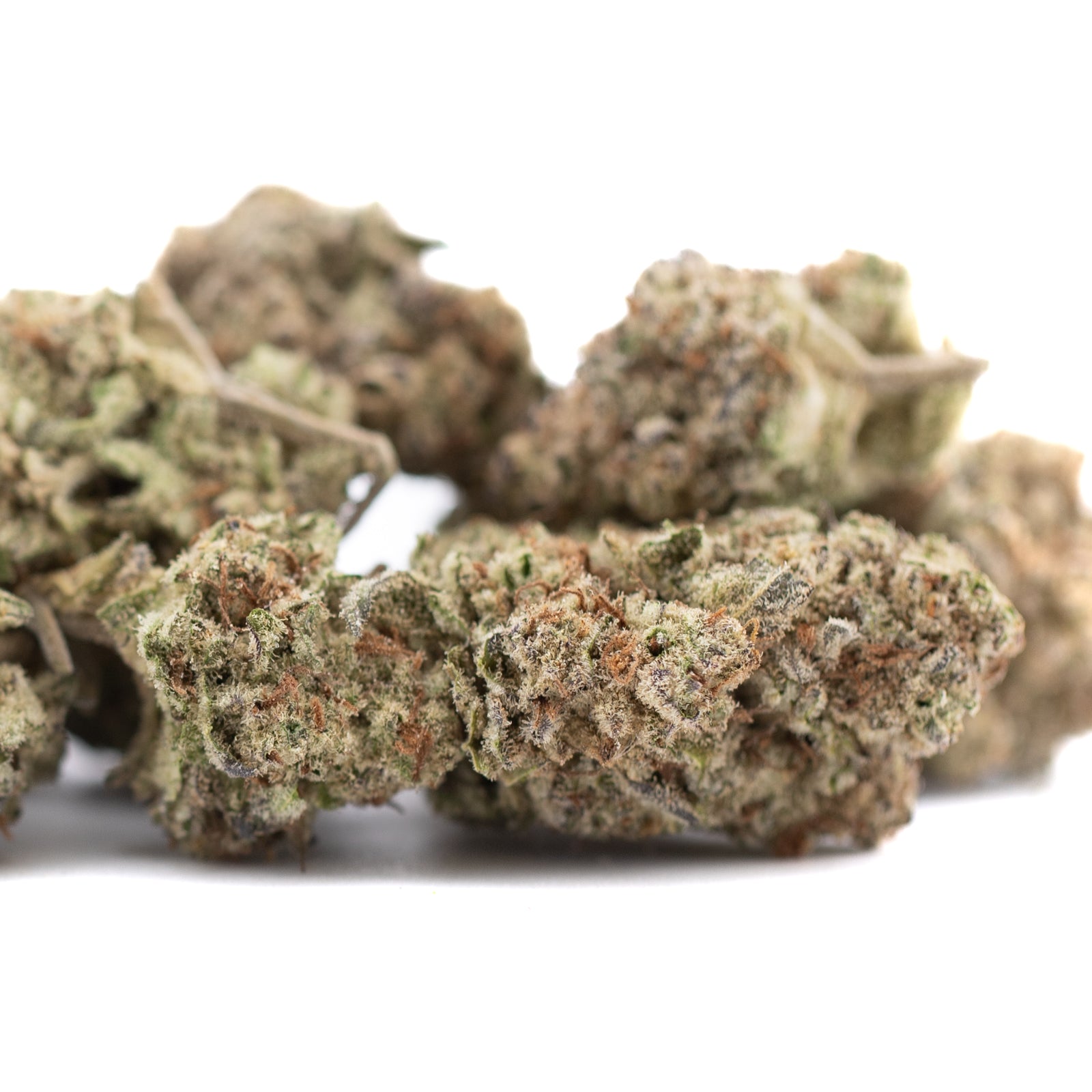 Purple Pop Rocks THCa Hemp Flower Greenhouse - Plants