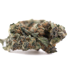 Purple Daquri Indoor THCa Flower